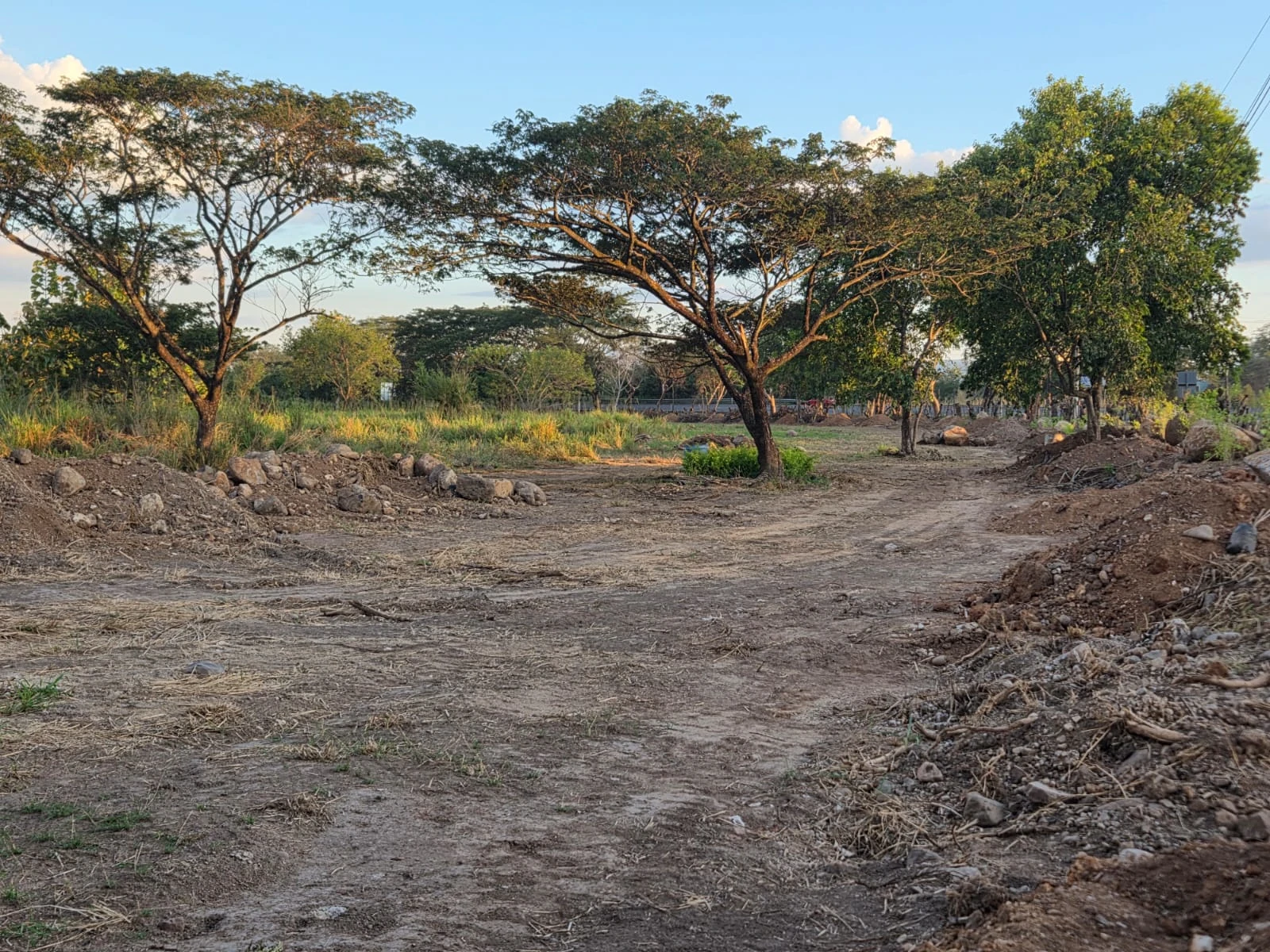 JARDINES DE SAN JOSÉ (15)