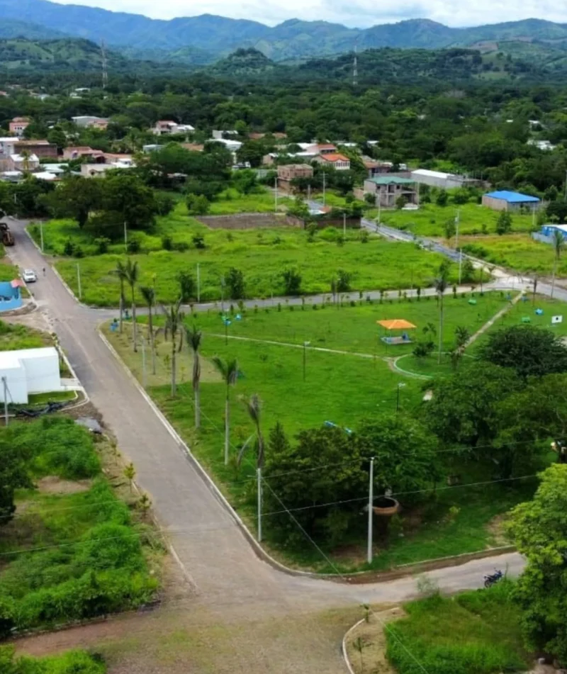 pinares-1